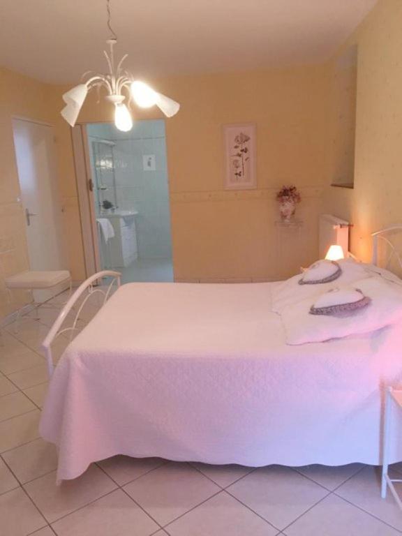 Chambres D'Hotes Du Maspourquet Saint-Santin-Aveyron Eksteriør billede